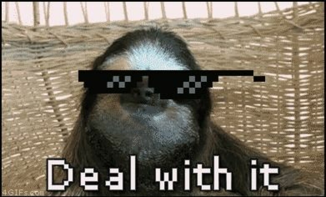 Via: <a href="http://giphy.com/gifs/deal-with-it-sloth-q540XuK9hMxY4" target="_blank">Giphy</a> Via: Giphy