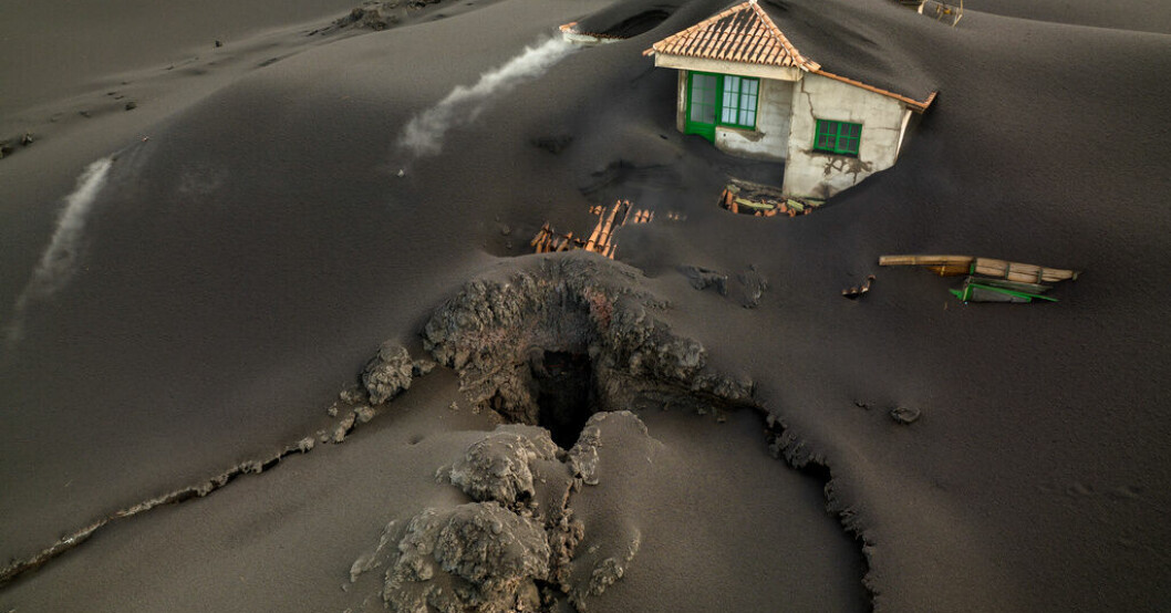 Den ambra som hittades i en strandad kaskelot på den vulkanutbrottsdrabbade ön La Palma är värd nära sex miljoner kronor. Arkivbild från vulkanutbrottet. Strandad val på vulkandrabbad ö värd miljoner