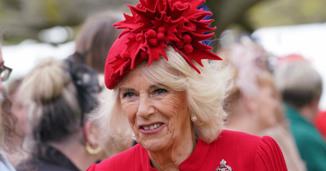 Den blivande drottningen Camilla under ett evenemang vid Buckingham Palace i London förra vecka. Camilla – från paria till nationalklenod