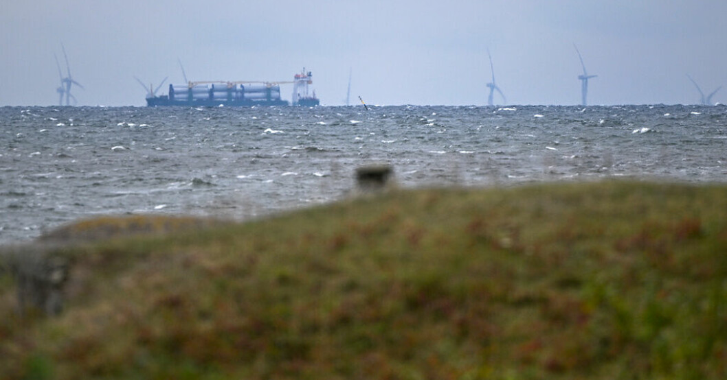 Den danska delen av Kriegers flak skymtar ur havet söder om Trelleborg. Arkivbild. Regeringen säger ja till stor vindkraftspark