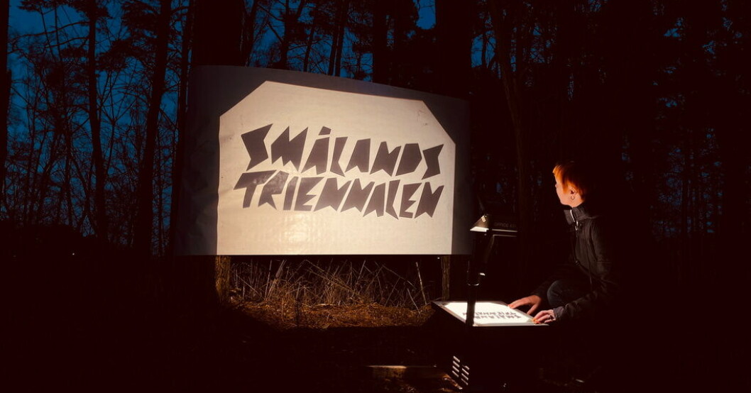 Den första Smålandstriennalen äger rum i sommar. Pressbild. Småland får triennal i sommar