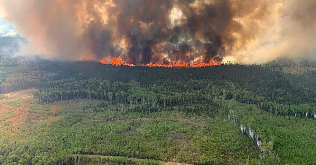 Den så kallade Bald Mountain-branden i en bild från i fredags förra veckan. Kanada bävar för svår brandhelg