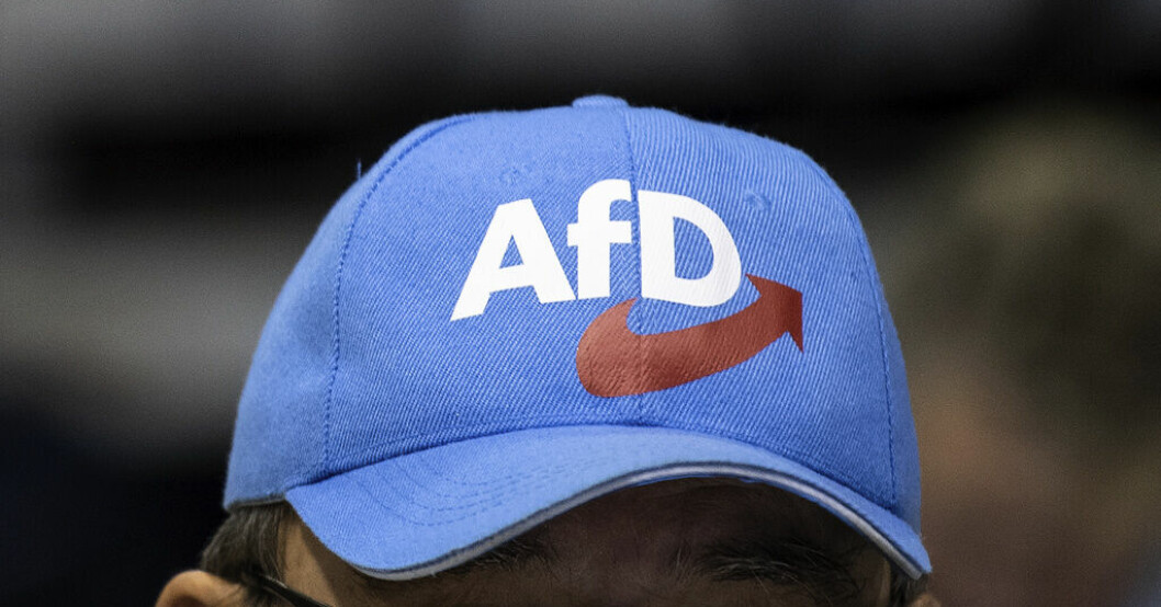 AFD:s ungdomsförbund får extremiststämpel