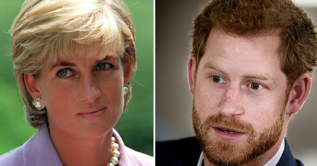 Prinsessan Diana och prins Harry