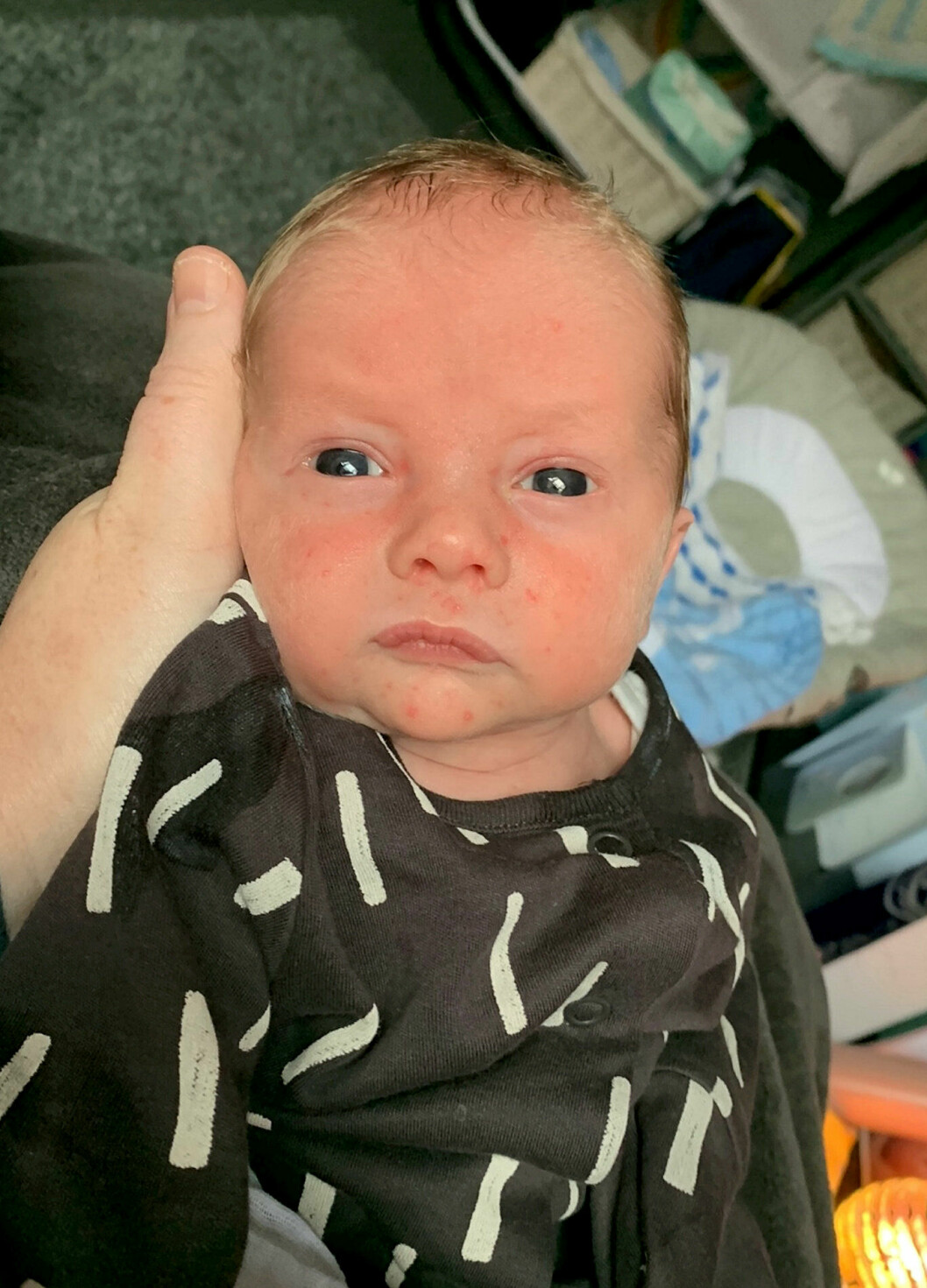 Lille Louie, 16 veckor gammal.