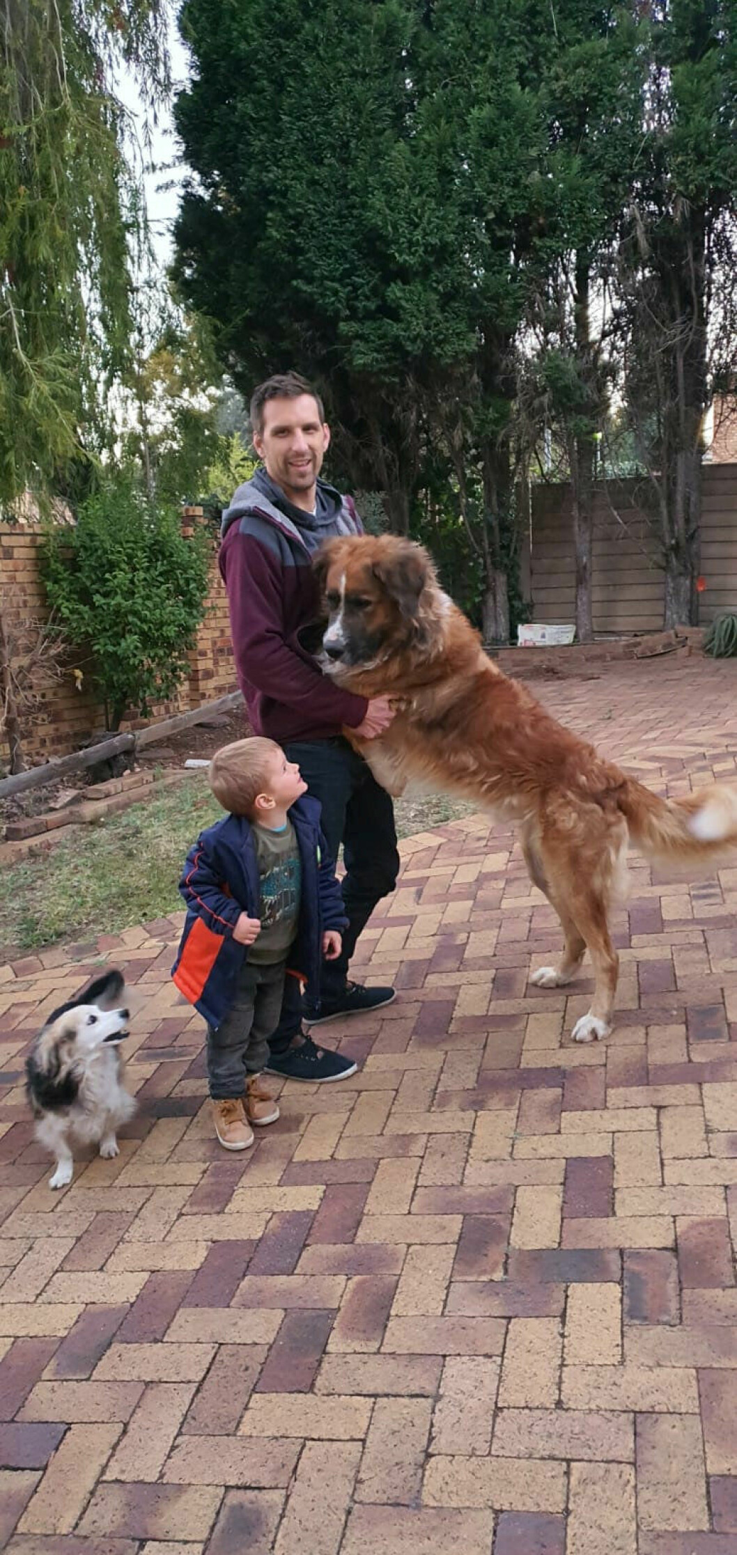 Familjens Sankt bernhardshund. Den avlivades efter attacken.