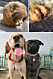 dog-makeover-before-after-rescue-40