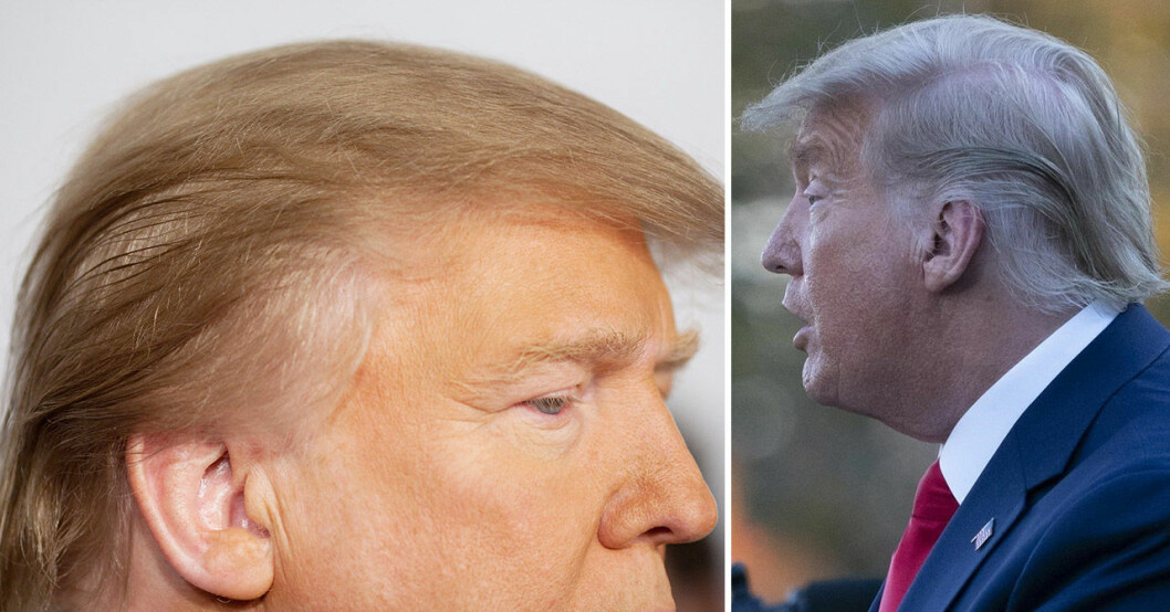 Donalds Trumps hår 2011 och 2020. Donalds Trumps hår 2011 och 2020.