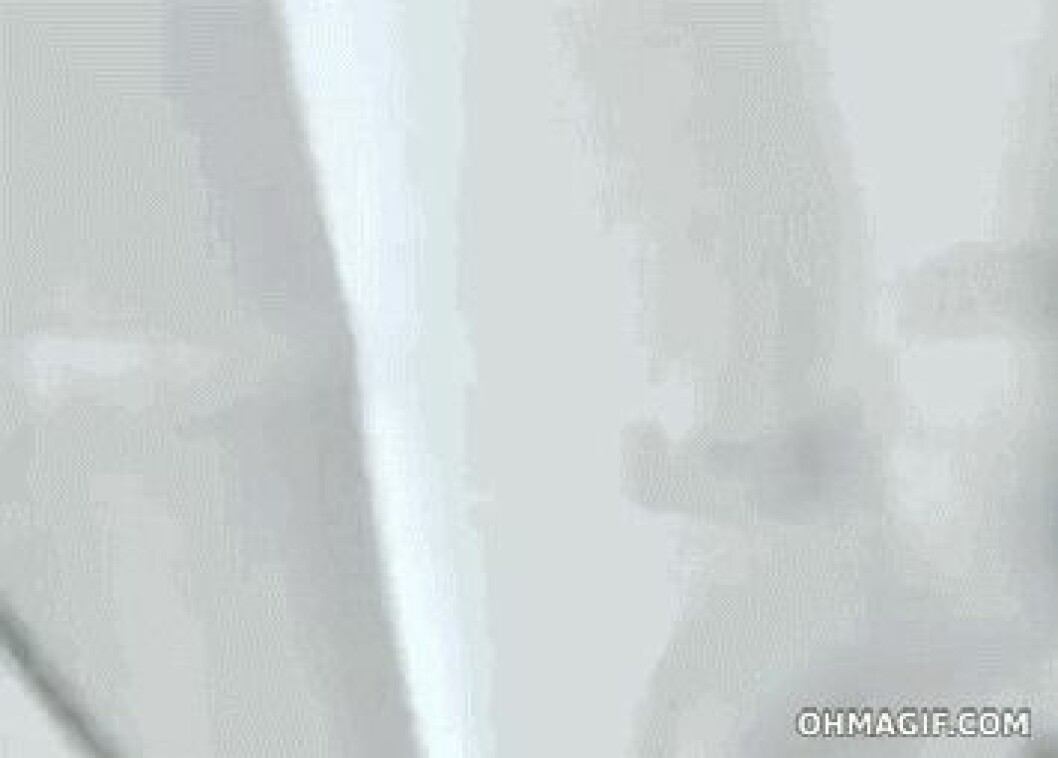 drunk-people-gifs-3