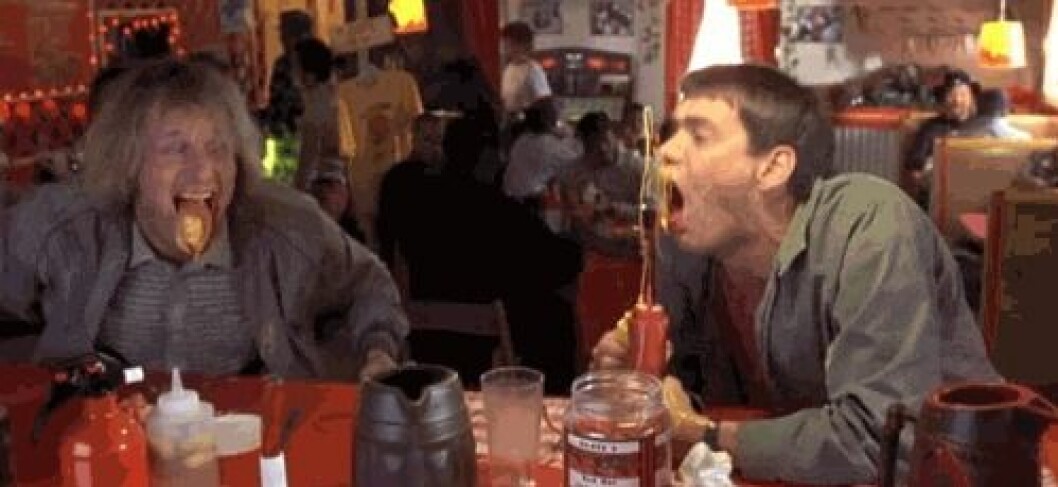 via <a href="http://giphy.com/gifs/dumb-and-dumber-ketchup-mustard-7B6hvCLsQQBPO" target="_blank">Giphy.com</a> Dum och dummare