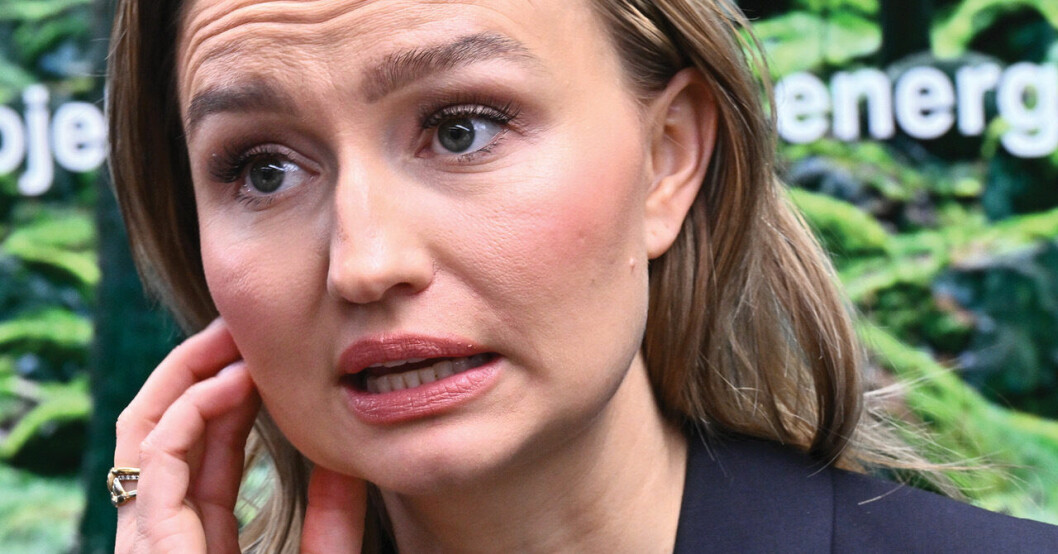 Tog smygbild på Ebba Busch – Säpo-vakt flashade vapen