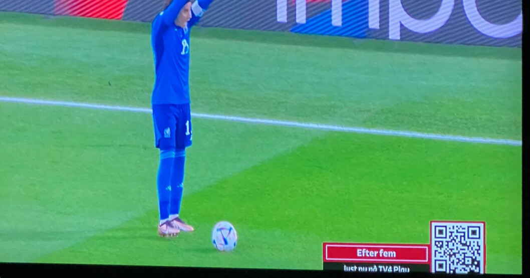 VM-MATCHEN MELLAN POLEN OCH MEXIKO
