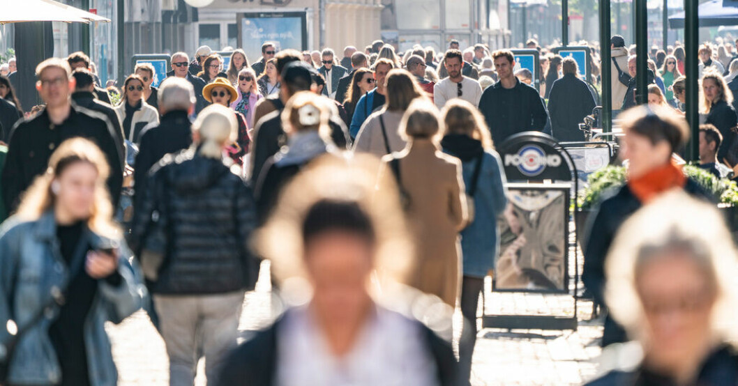 Ekonomiexperterna: "Regeringen är för optimistisk".