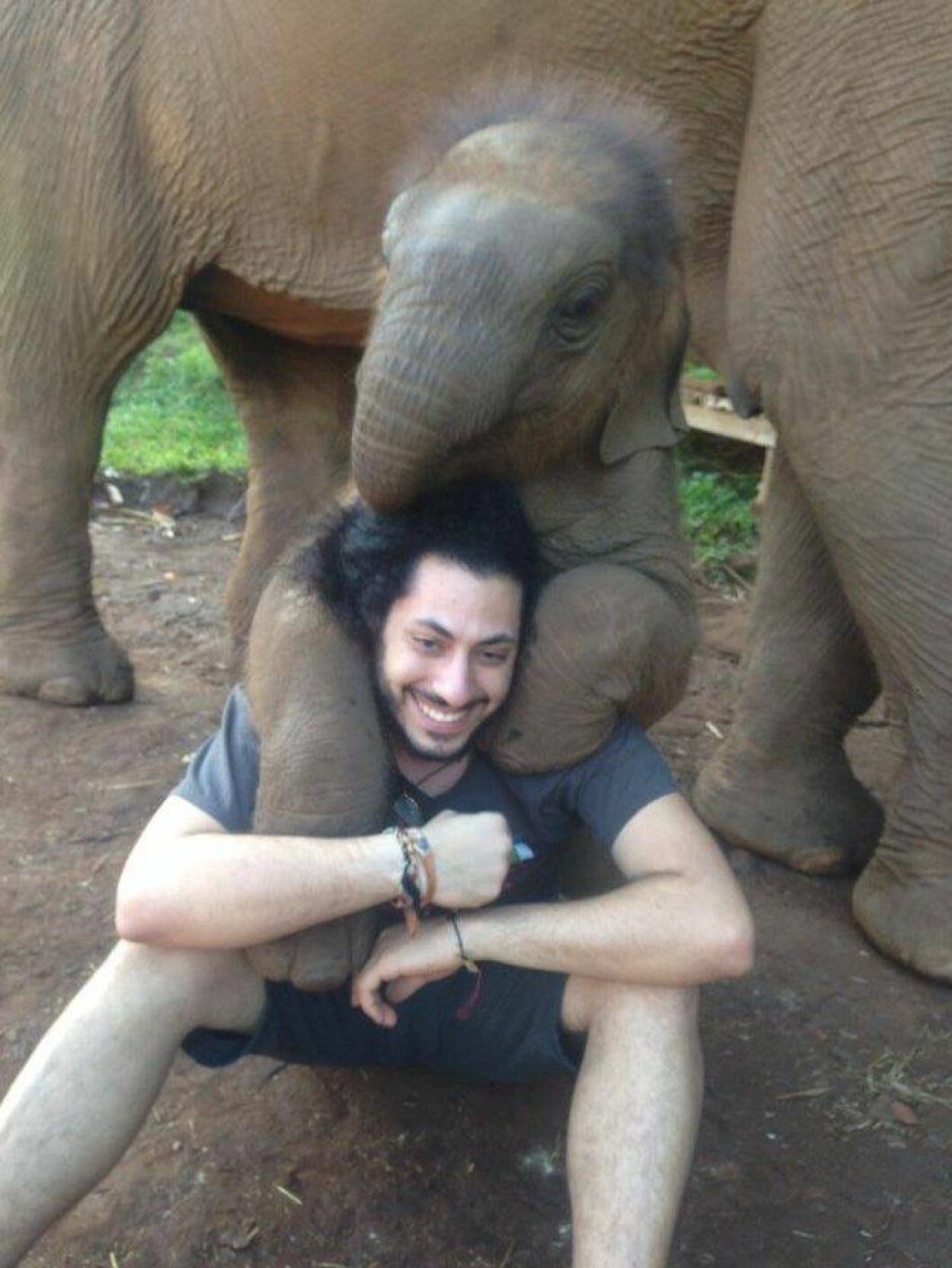 Foto: <a href="http://imgur.com/GdKfeHr" target="_blank">Imgur.com</a> elefant