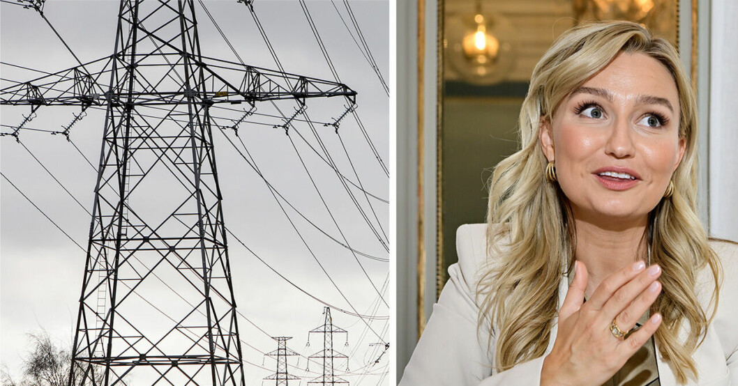 Elledning och Sveriges energi- och näringsminister Ebba Busch.