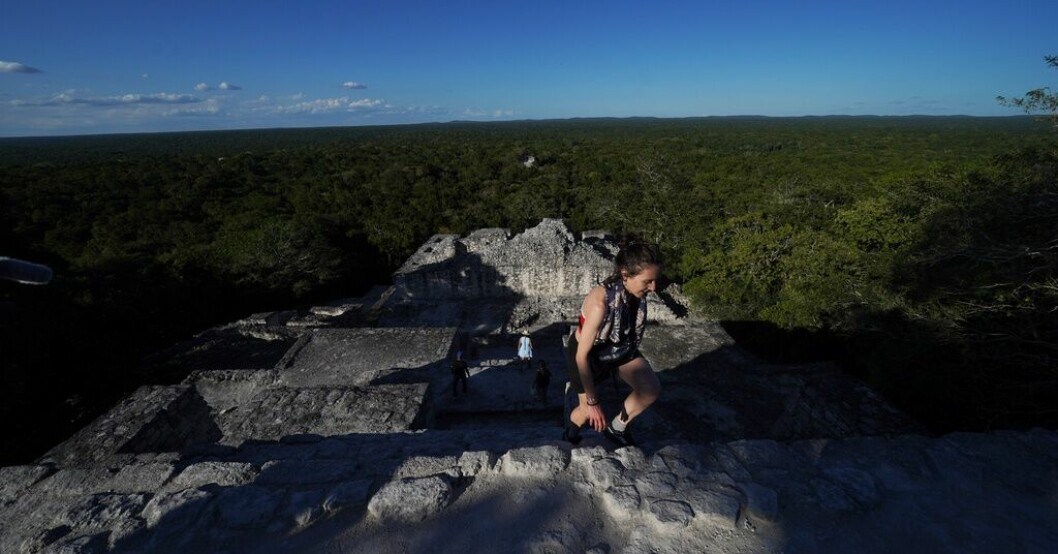 En kvinna når toppen på en av pyramiderna i ruinstaden Calakmul. Att ta sig hit är en populär djungelbedrift för turister, men kommer att bli avsevärt lättare med det nya tåget. Tåg till mayaruinerna – succé eller urspårat?