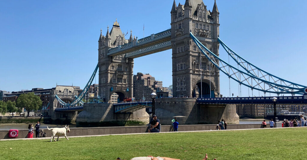 En kvinna solbadar nära Towern i London den 25 juni. Juni varmaste hittills i Storbritannien
