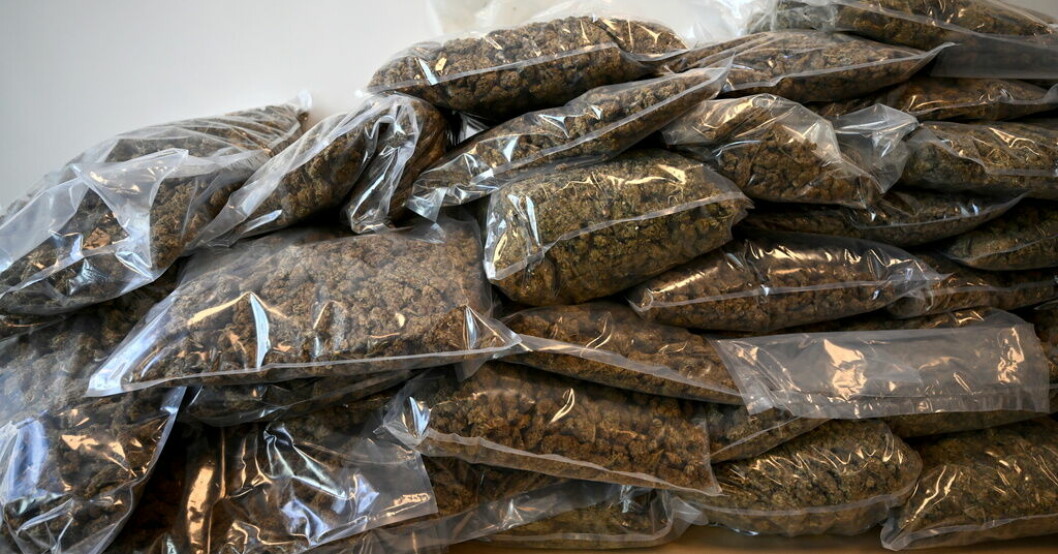 En man från Kronobergs län åtalas för smuggling av drygt ett ton cannabis, som han även ska ha varit med och distribuerat i Sverige. Arkivbild. Ett ton cannabis insmugglat – man åtalas