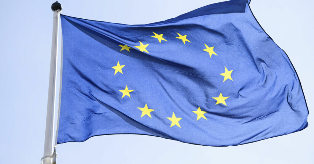 En särskild utredare ska analysera och bedöma hur EU-direktivet för att minska löneskillnaderna ska genomföras i Sverige. Arkivbild. EU-regler för jämställda löner ska utredas