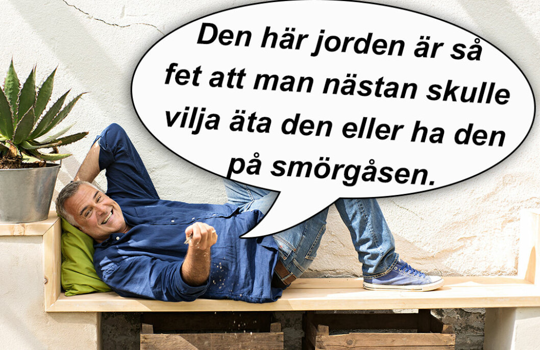 Foto: TV4 ernst13