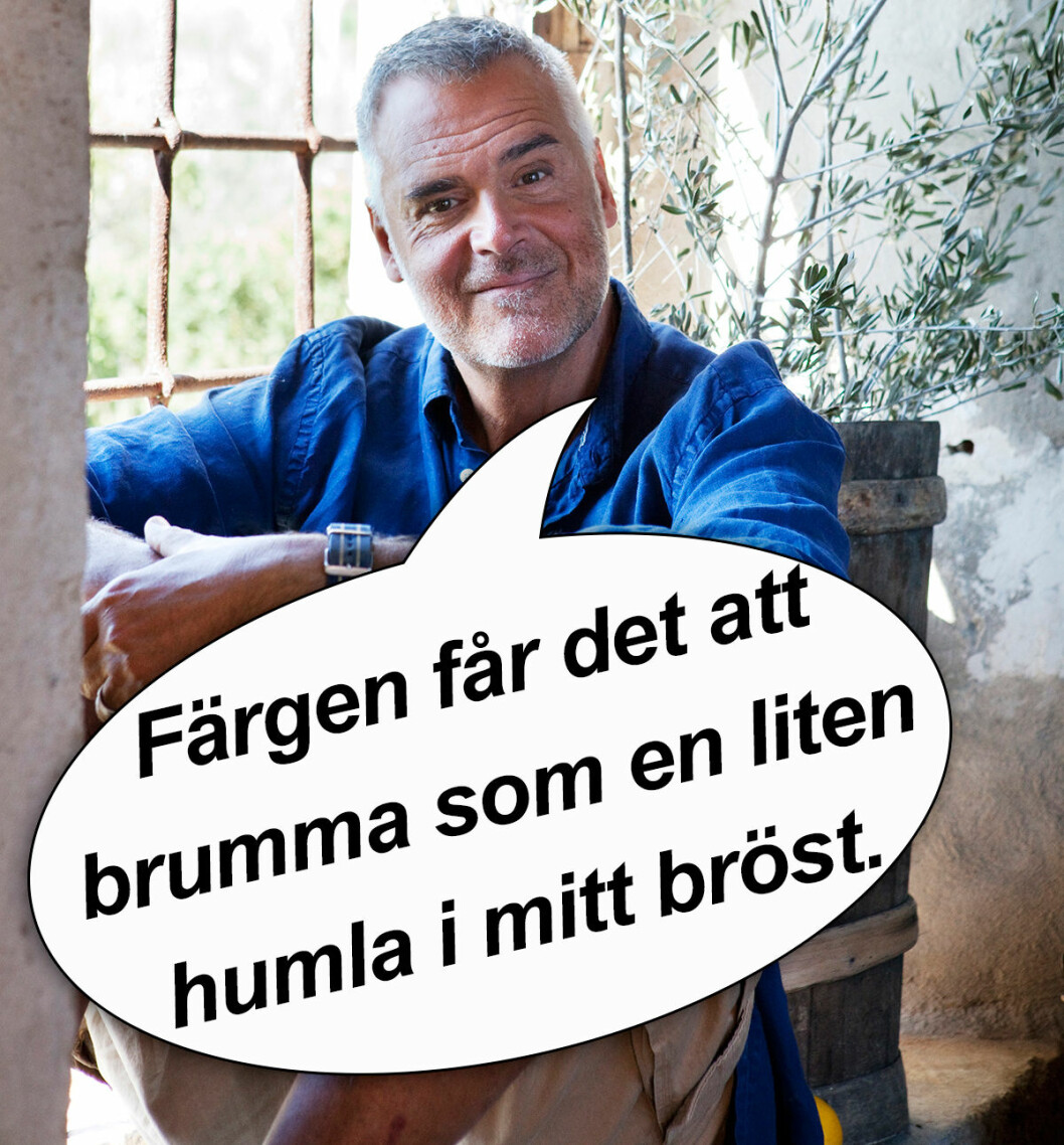 Foto: TV4 ernst10