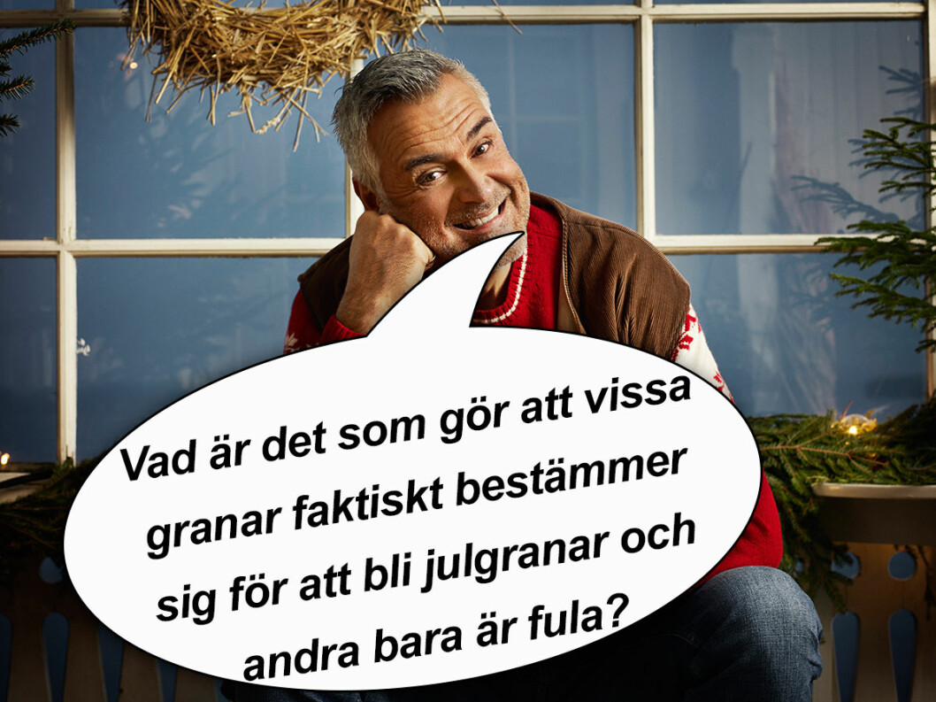 Foto: TV4 ernst11