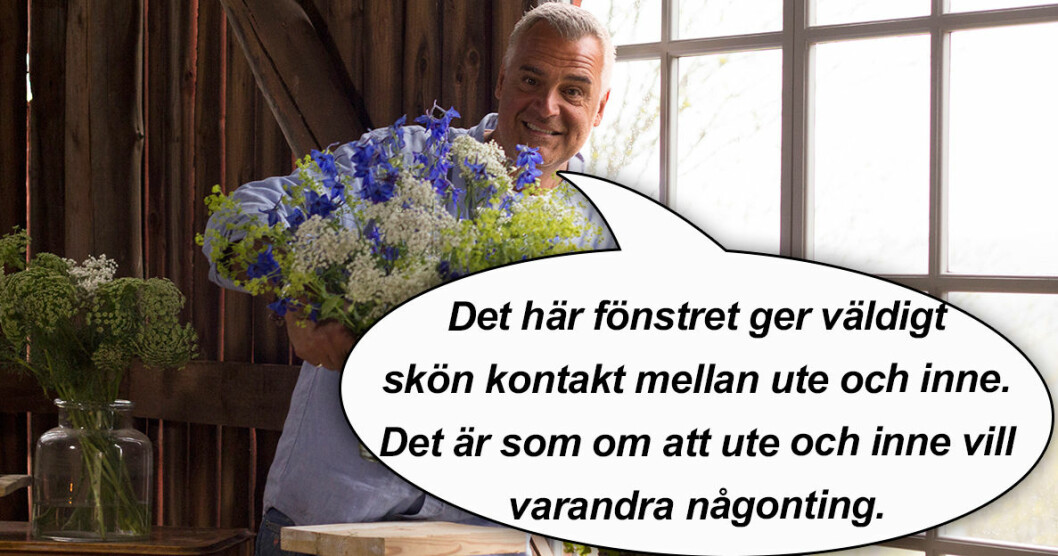 Foto: TV4 ernsttrams