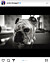 Anders Bagges Instagraminlägg om hunden Esther