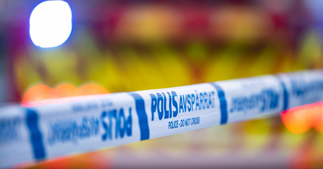 Ett 30-tal djur har dött i en brand i Halland. Arkivbild. Kor döda i ladugårdsbrand