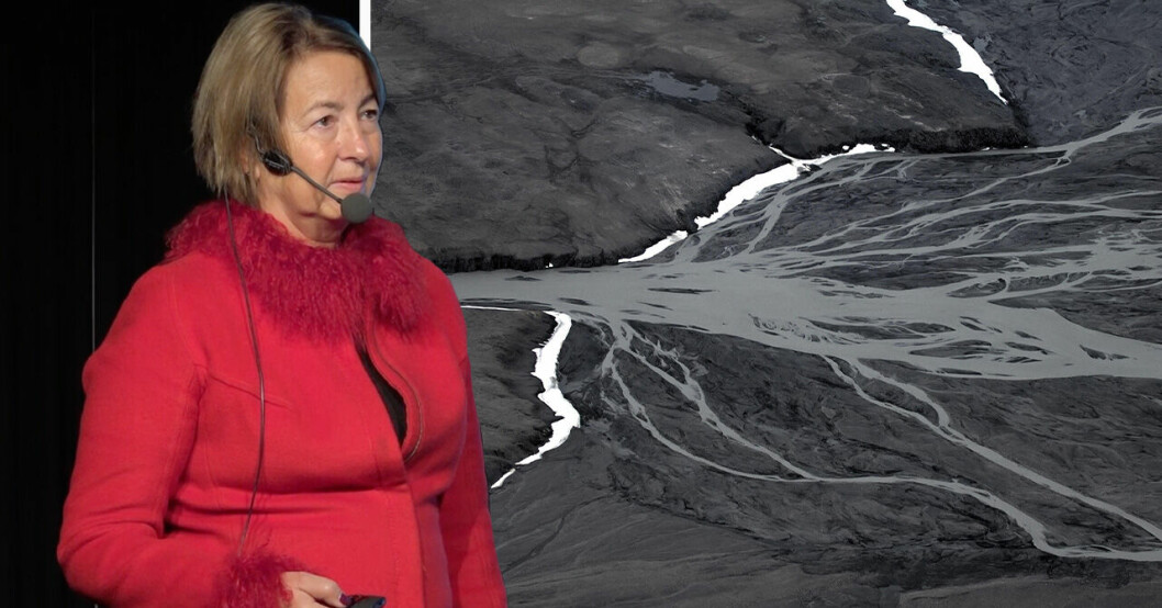 Professor Birgitta Evengård.