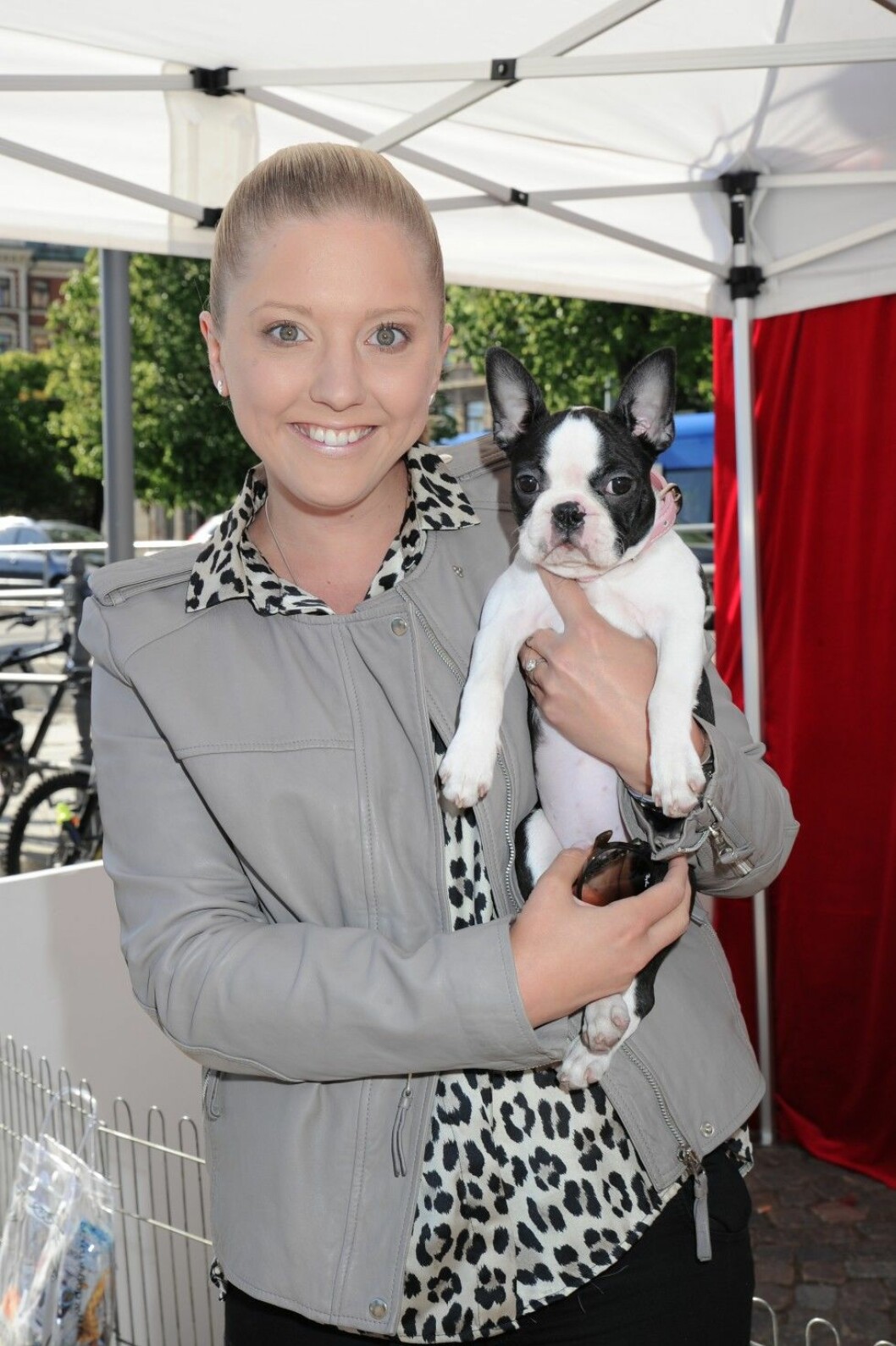 Exray Hund 1 (1)