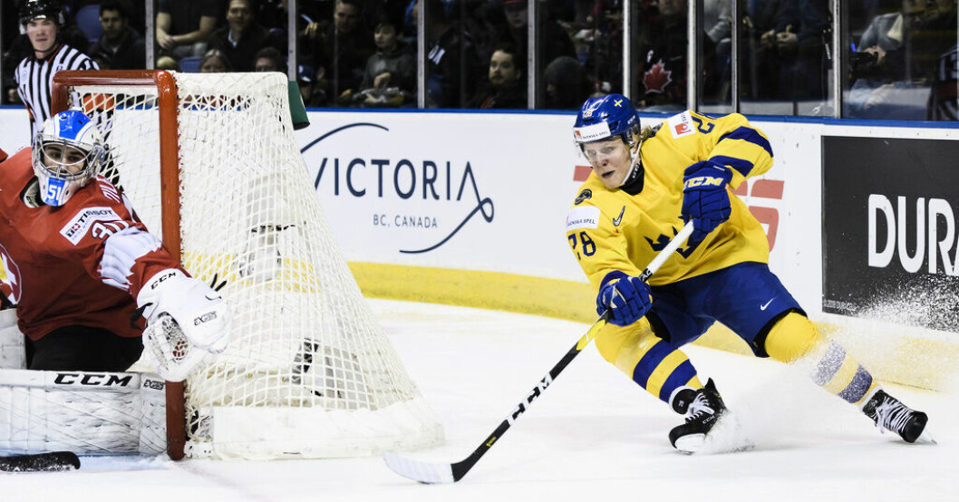 Fabian Zetterlund ansluter till Tre Kronor. Arkivbild. NHL-stjärna förstärker Tre Kronor