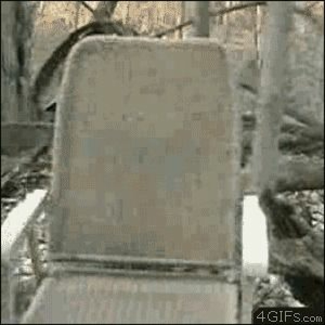 Failed-Win-19