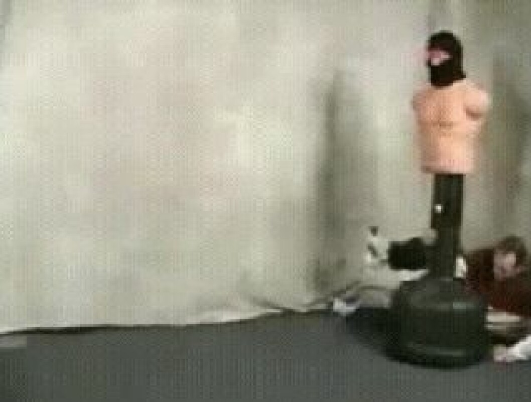 Failed-Win-20