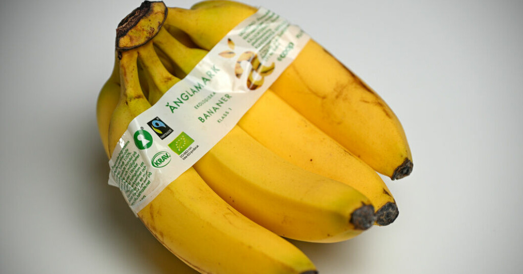 Fairtrade-märkta bananer tappade mest i försäljning i kategorin under 2022. Arkivbild. Minskad försäljning av Fairtrade-märkta varor