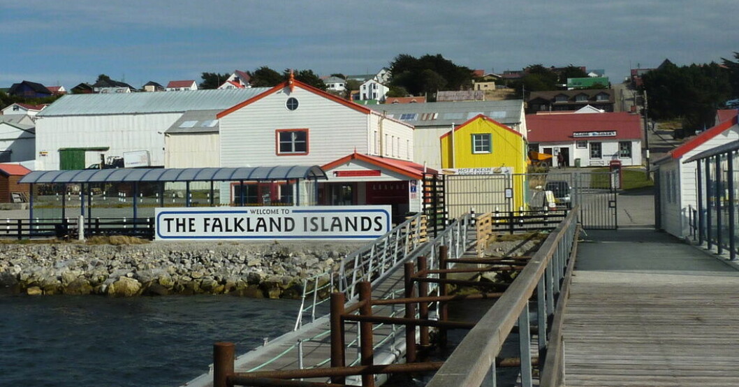 Falklandsöarnas centralort Stanley. I Argentina kallas staden Puerto Argentino. Arkivbild. Argentina vill förhandla om Falklandsöarna