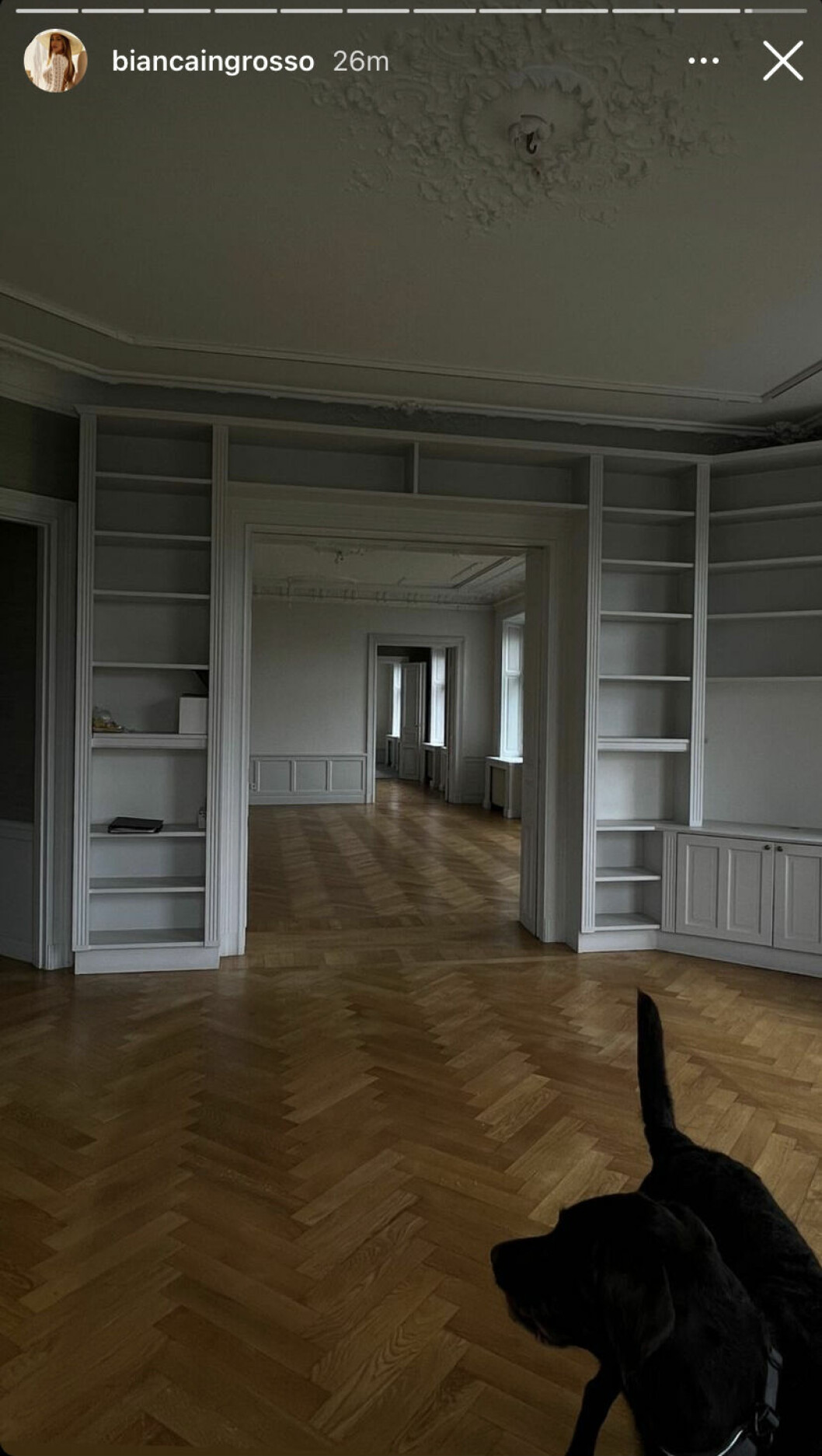 Fantastiskt ljusinsläpp, fiskbensparkett, utsmyckade tak, platsbyggd förvaring, bröstpaneler och pampiga dörröppningar... vi kan förstå att Bianca är nöjd med köpet. Phillipes hund Ted var också med och inspekterade sitt nya hem. Fantastiskt ljusinsläpp, fiskbensparkett, utsmyckade tak, platsbyggd förvaring, bröstpaneler och pampiga dörröppningar... vi kan förstå att Bianca är nöjd med köpet. Phillipes hund Ted var också med och inspekterade sitt nya hem.
