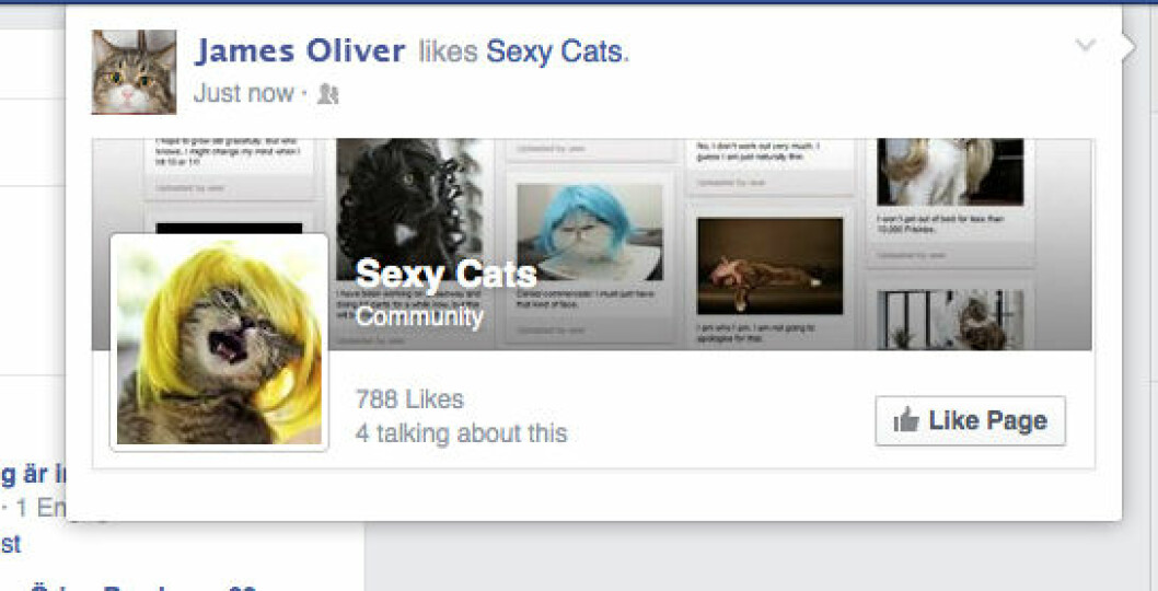 FBSexyCatKLAR