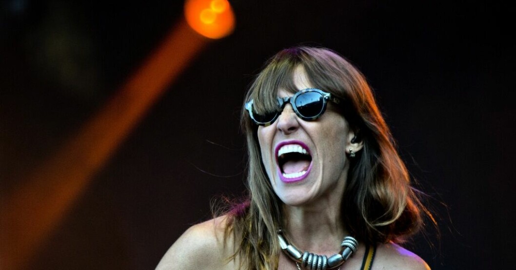 Feist. Arkivbild. Feist till Sverige i sommar