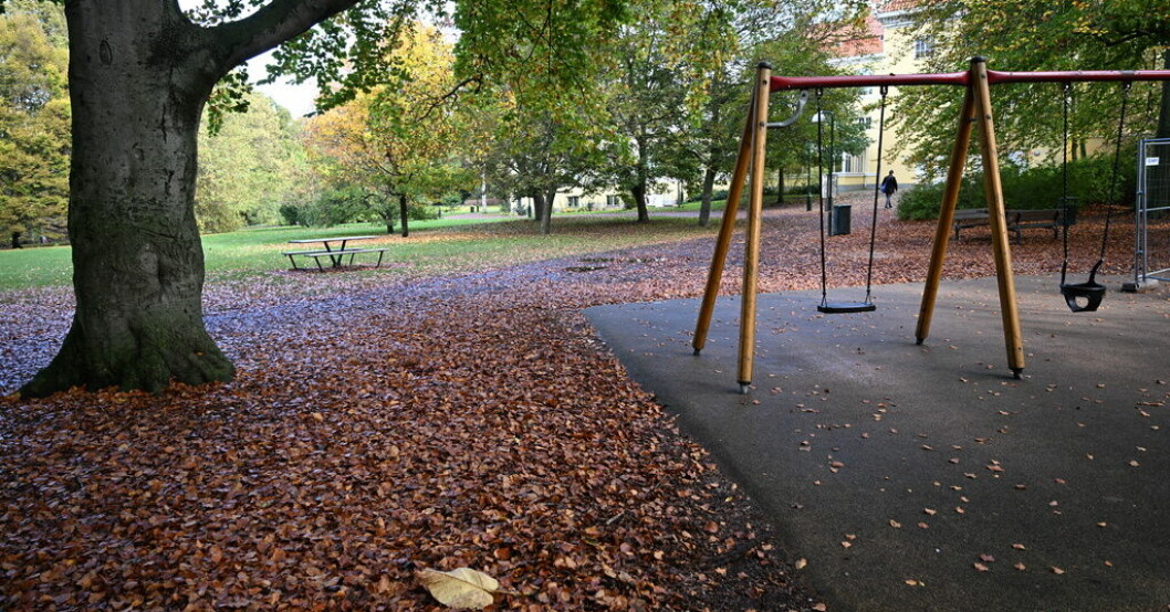 Fem tonåringar döms för grov våldtäkt mot en kvinna i Kungsparken i Malmö i oktober. Arkivbild. Straffskärpning för gruppvåldtäkt i Malmö