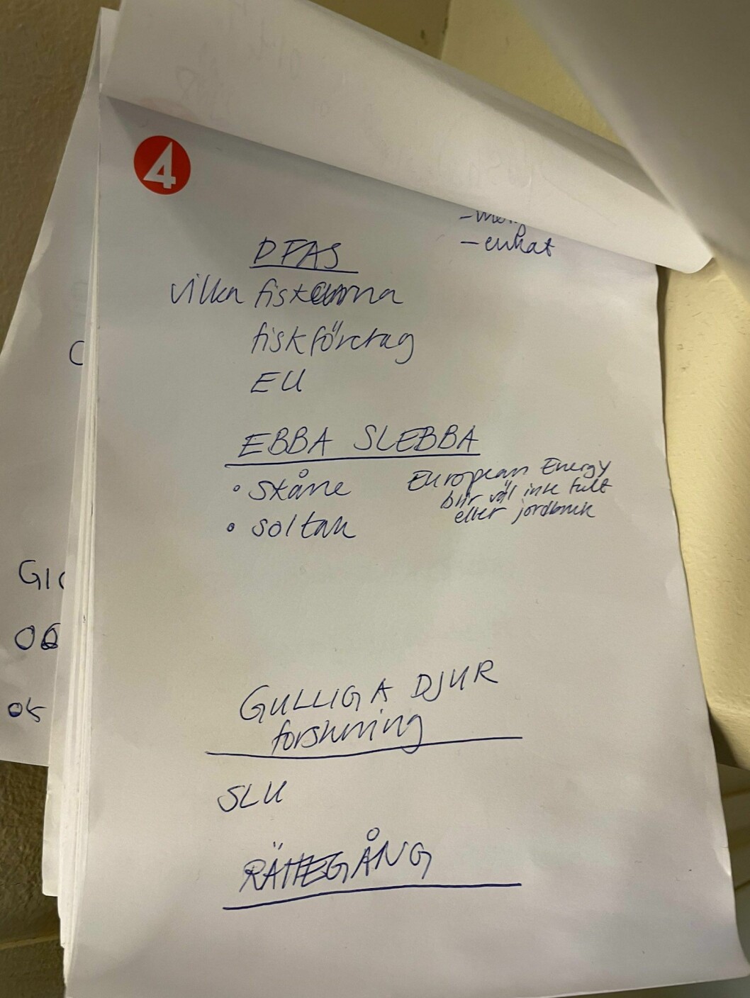 Anteckningarna från TV4-reporten: ”Ebba Slebba …”.