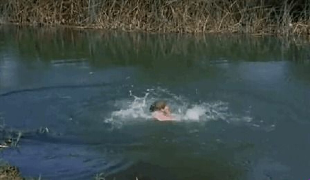 Via: <a href="http://giphy.com/gifs/go-here-fishing-ZxRCh56VzWhDa" target="_blank">Giphy</a> Via: Giphy