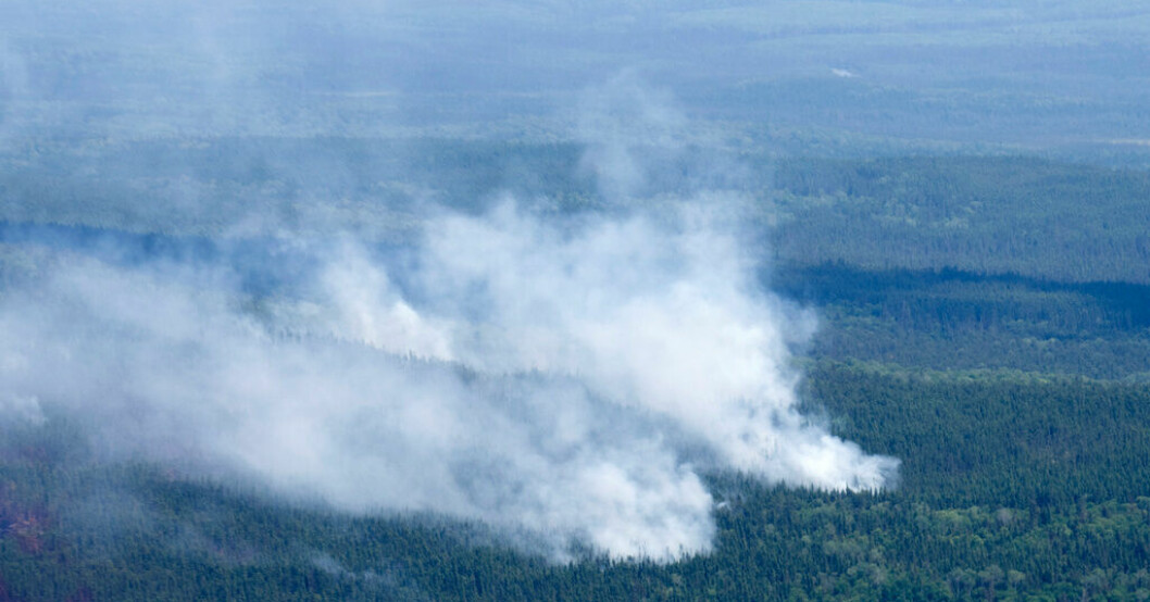 Flera hundra skogsbränder rasar för närvarande i Kanada. Här syns rök från en brand nära Lebel-sur-Quevillon i Quebec. Bilden togs 5 juli. Skogsbränder i Kanada slår mörka rekord