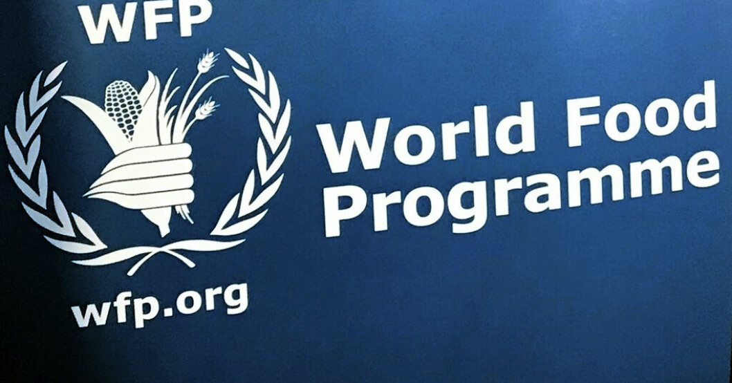 FN-organet WFP:s logotyp. Arkivbild. WFP stoppar insatser i Sudan efter egna dödsoffer