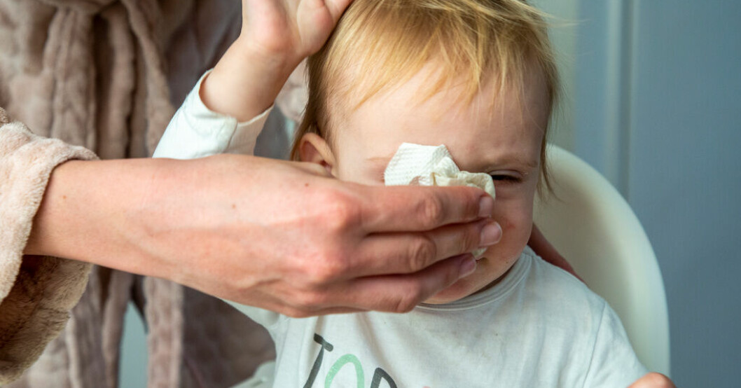Vanlig förkylning kan skydda barn mot covid