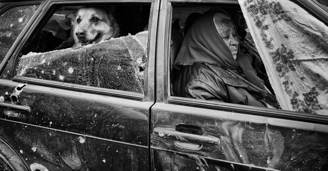 Fotografen Eddy van Wessel är nominerad i kategorierna årets fotograf och årets bild. Här en bild av en kvinna och hennes man och hund som har lyckats ta sig ut från en ukrainsk by som varit belägrad av den ryska armén. De kan vinna Årets bild