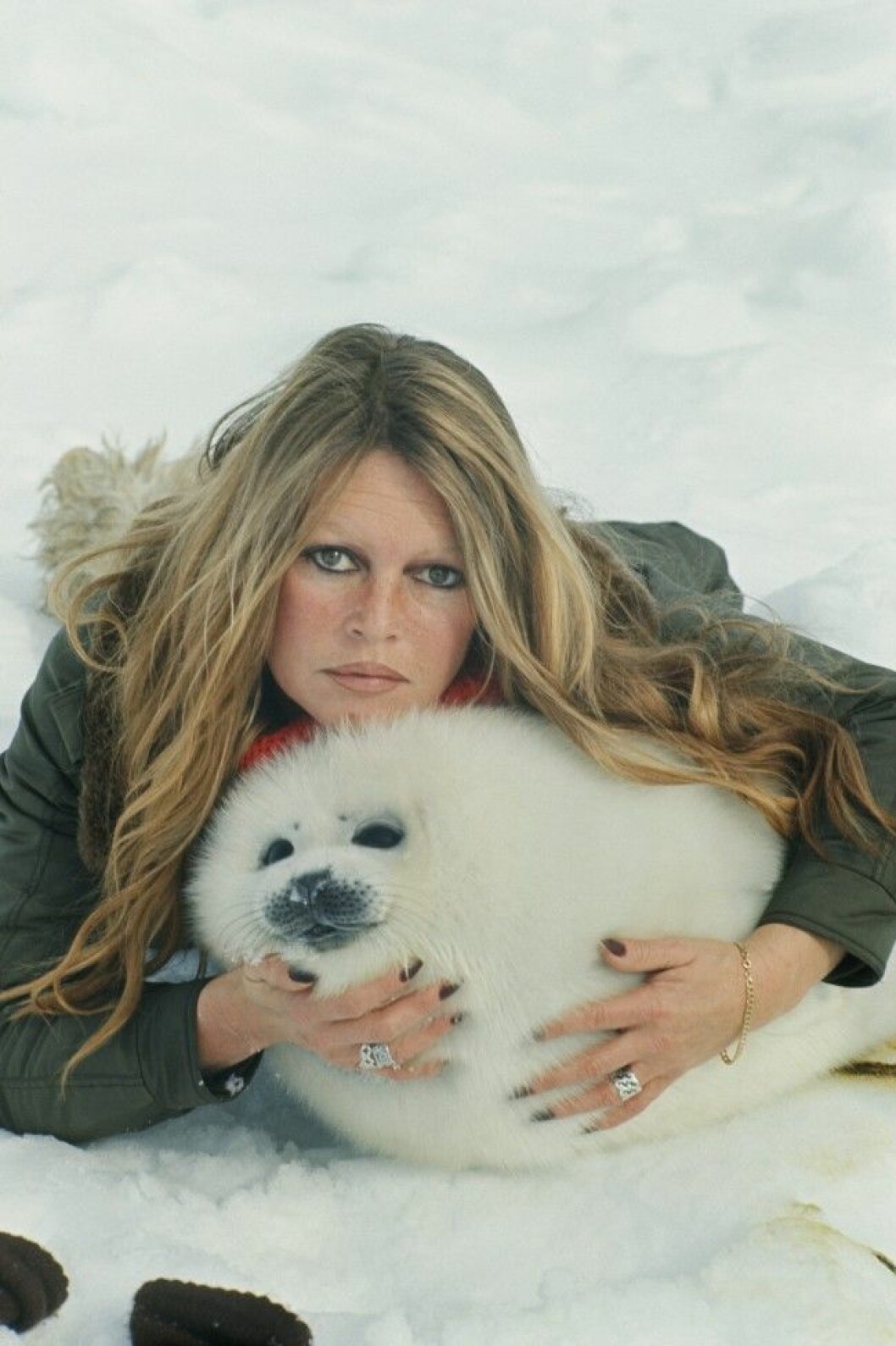 Foto: Miroslav Brozek Fransyskan Brigitte Bardot, 80, är både skådis, sångerska och djurrättsaktivist. 2008 drog hon igång en kampanj för att motverka slakten av sälkutar. Till den lät hon sig fotas med en bedårande liten säl på polarisen i norra Kanada och bilderna fick stort genomslag.