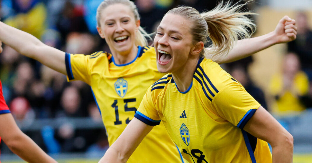 Nytt avtal kan rädda Sveriges VM-uppladdning