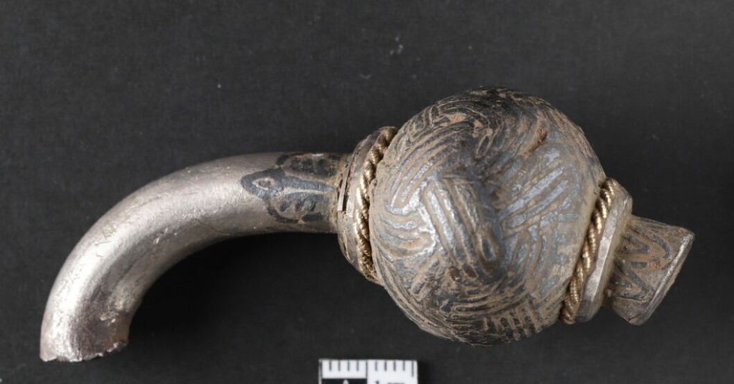 Fynden, mynt och silverbitar, visade sig komma från två vikingaskatter begravda några meter från varandra. Vikingaskatter upptäckta i Danmark
