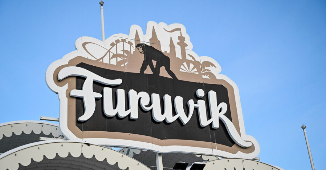 Fyra av Furuviksparkens apor sköts ihjäl i samband med rymningen. Nu öppnar parken igen. Arkivbild. Furuvik öppnade – med extra polisbevakning